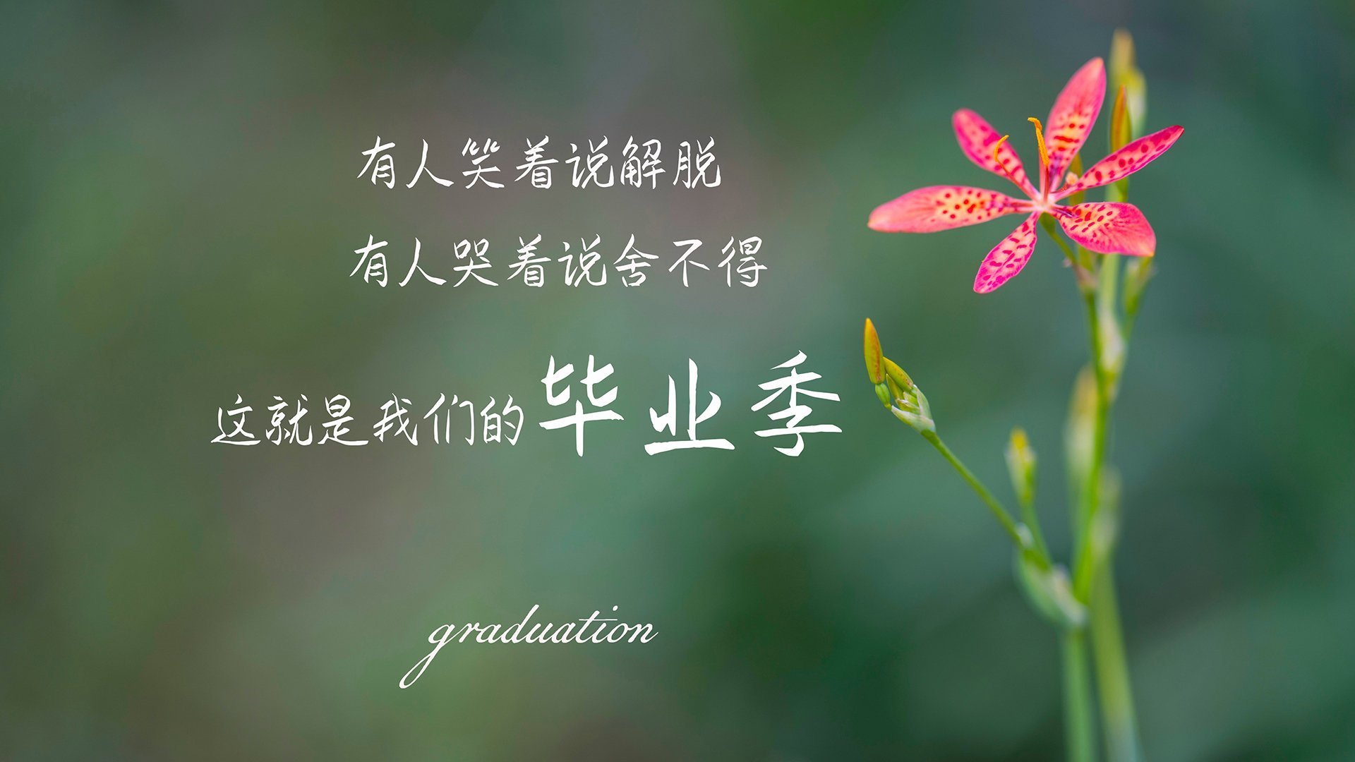 意大利在欧洲杯预选赛中0-0战平乌克兰，晋级淘汰赛阶段。，意大利欧洲杯预选赛比赛结果