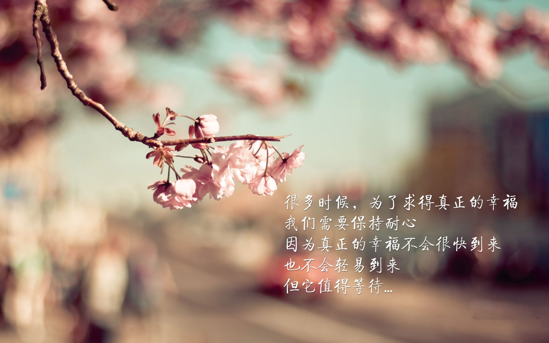 梅西率领迈阿密国际晋级中北美洲及加勒比海冠军杯半决赛，中北美洲及加勒比海冠军联赛奖杯