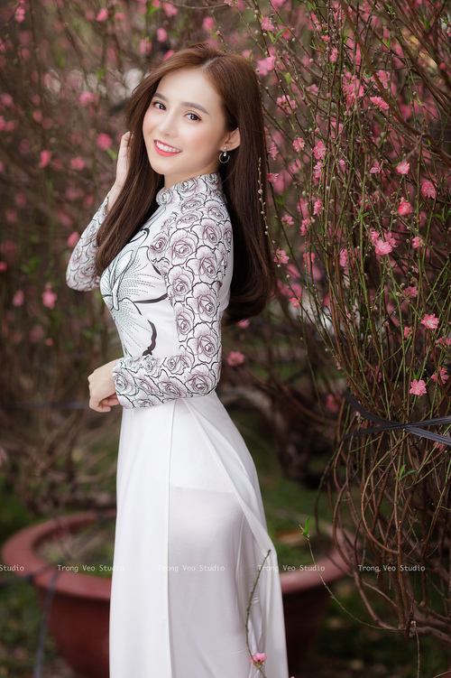 河南队需要克服河北的抵抗，提高士气，河南对河北排球比赛