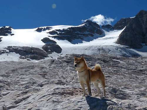 世俱杯2025全程直播-“三叉湖校区：滚球运动让观众领略不一样的竞技魅力”