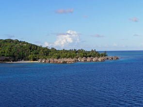 世俱杯2025-“宽板滑水：东三叉湖马鞍山赛场成运动爱好者的新天堂”