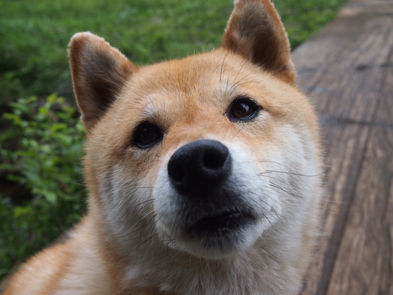 国际热身赛中国青年队战平 球迷期待未来突破，国际热身赛赛程