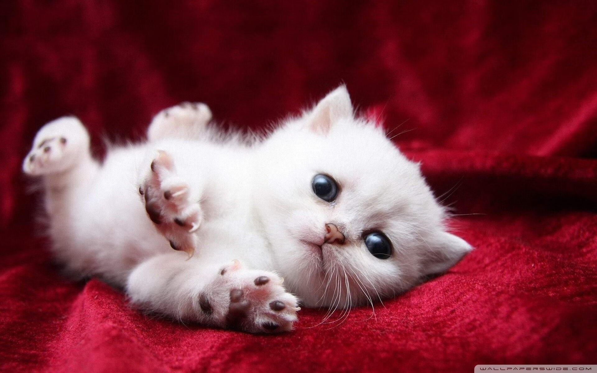 慢节奏控场是否能有效压制对方内线冲击，慢节奏策略游戏