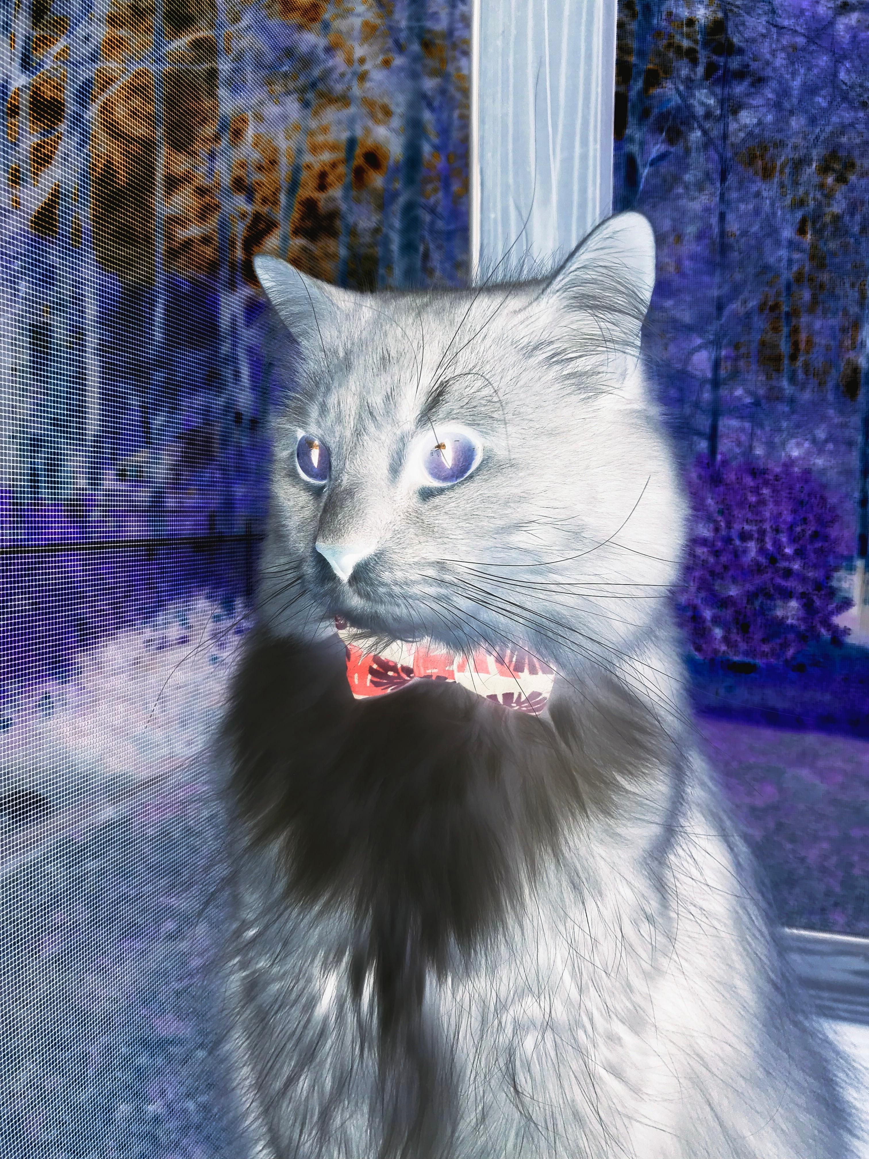 西甲的知名裁判培训计划，西乙裁判