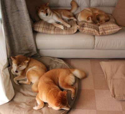 马克·阿特金森：凭借出色的速度，南非队成功突破对方防线，阿特马里克